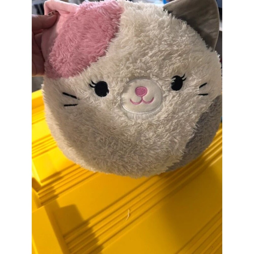 Cat stuffy